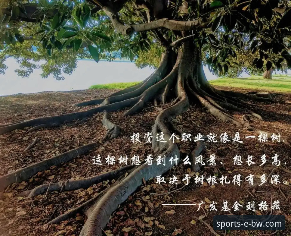 宝威体育怎么样 三年老用户深度复盘:宝威体育平台到底怎么样?多维度使用心得与实战经验